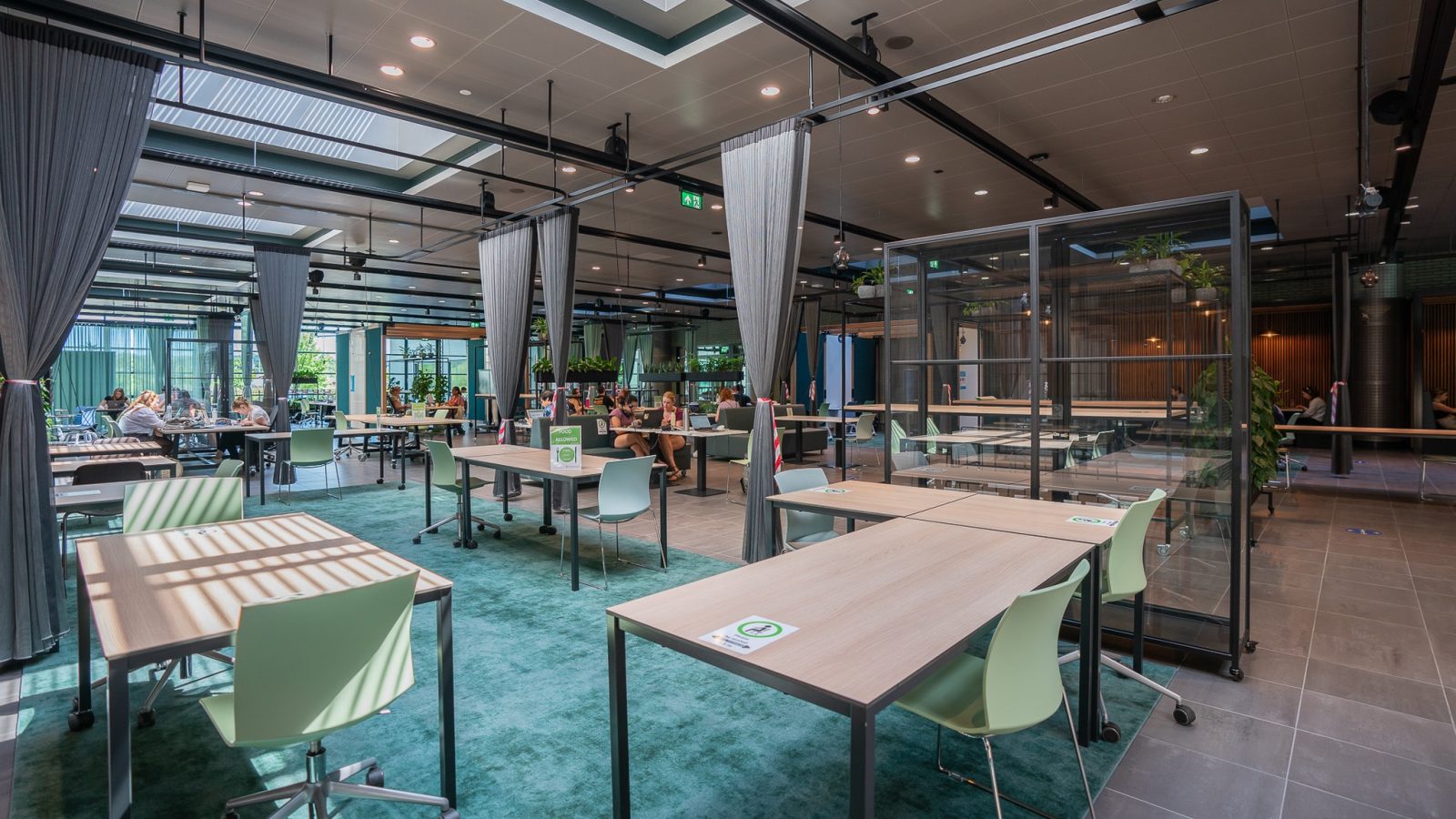 Universiteit Maastricht FSE