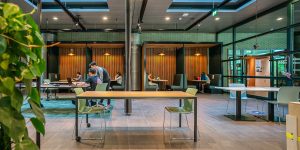 Universiteit Maastricht FSE